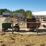 Long Neck Pumpkin Farm photo