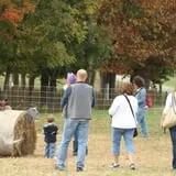 Bottom View Farm Fall Festival photo