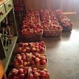 Bottom View Farm Fall Festival photo