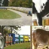 Bottom View Farm Fall Festival photo