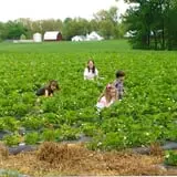 Bottom View Farm Fall Festival photo