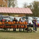 Bottom View Farm Fall Festival photo