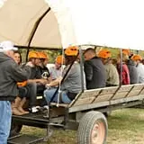 Bottom View Farm Fall Festival photo
