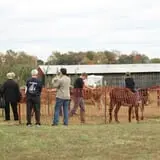 Bottom View Farm Fall Festival photo