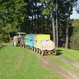 Bottom View Farm Fall Festival photo