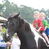 Bottom View Farm Fall Festival photo