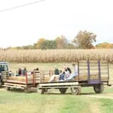 Bottom View Farm Fall Festival photo