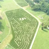Bottom View Farm Fall Festival photo