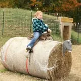 Bottom View Farm Fall Festival photo
