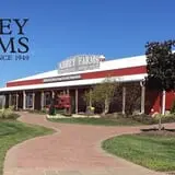Pumpkin Daze at Abbey Farms photo