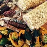 Pumpkin Daze at Abbey Farms photo