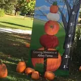 Pumpkin Daze at Abbey Farms photo