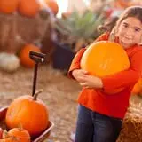 Pumpkin Daze at Abbey Farms photo