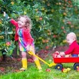 Pumpkin Daze at Abbey Farms photo