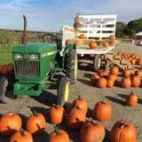 Pumpkin Daze at Abbey Farms photo