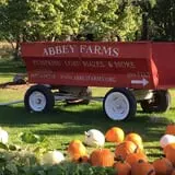 Pumpkin Daze at Abbey Farms photo