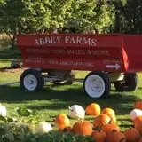 Pumpkin Daze at Abbey Farms photo