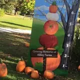 Pumpkin Daze at Abbey Farms photo