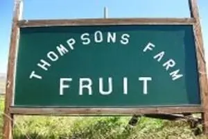 Thompson's Farm Pumpkin Patch