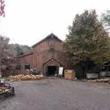 Vala's Pumpkin Patch and Fall Festival photo