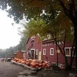 Vala's Pumpkin Patch and Fall Festival photo