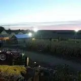 Vala's Pumpkin Patch and Fall Festival photo