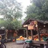 Vala's Pumpkin Patch and Fall Festival photo