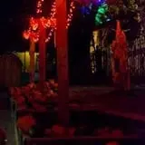 Vala's Pumpkin Patch and Fall Festival photo