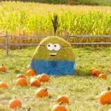 Johnny Appleseed's Farm Pumpkin Patch photo