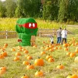 Johnny Appleseed's Farm Pumpkin Patch photo