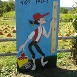 Johnny Appleseed's Farm Pumpkin Patch photo