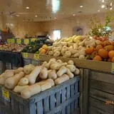 Johnny Appleseed's Farm Pumpkin Patch photo