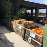 Johnny Appleseed's Farm Pumpkin Patch photo