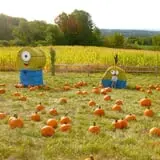 Johnny Appleseed's Farm Pumpkin Patch photo