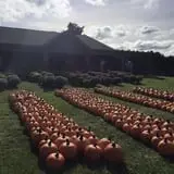 Johnny Appleseed's Farm Pumpkin Patch photo