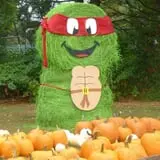 Johnny Appleseed's Farm Pumpkin Patch photo