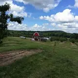 Johnny Appleseed's Farm Pumpkin Patch photo