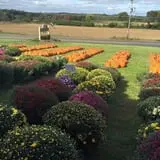 Johnny Appleseed's Farm Pumpkin Patch photo