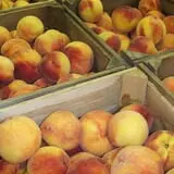 G and S Orchards photo