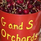 G and S Orchards photo