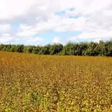 G and S Orchards photo
