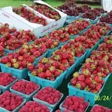 G and S Orchards photo