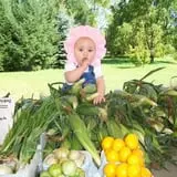 G and S Orchards photo