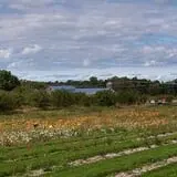 G and S Orchards photo