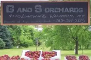 G and S Orchards