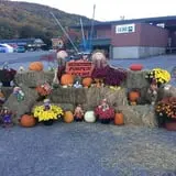 It's About Thyme Farm photo