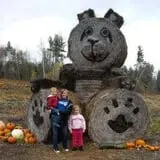 It's About Thyme Farm photo