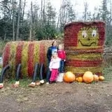 It's About Thyme Farm photo