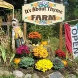 It's About Thyme Farm photo