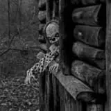 Pappy's Haunted Trails photo